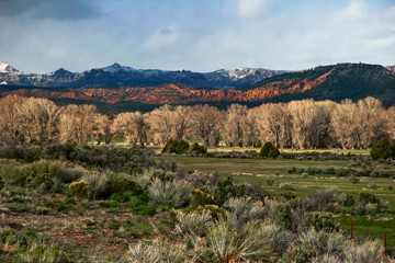 Naklejka premium Landscape of Utah state. USA
