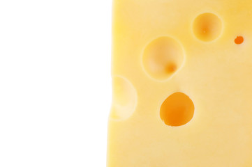 piece of cheese