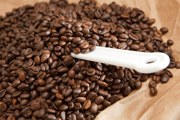 coffee beans with plastic scoop