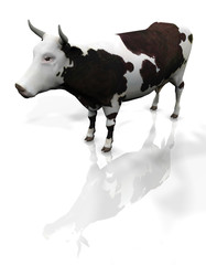 3D COW