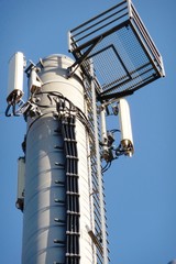 Signal