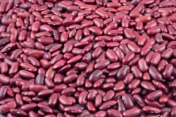 red kidney beans close-up