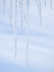 Icicles in closeup