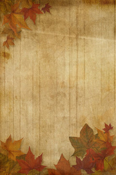 Fototapeta Autumn background
