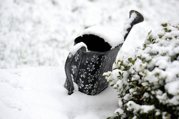 inverno