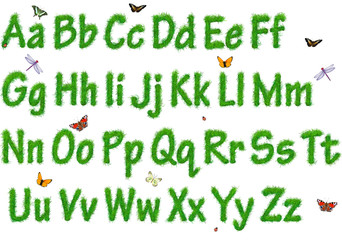 The alphabet from a grass