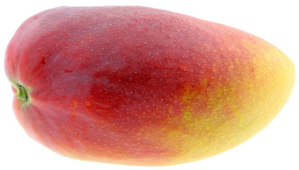 mangue mûre fond blanc