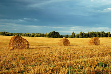 Hay bales