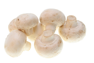 champignons isolated