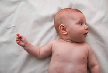 3 month baby