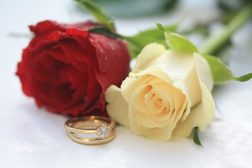 red rose, white rose and a wedding set