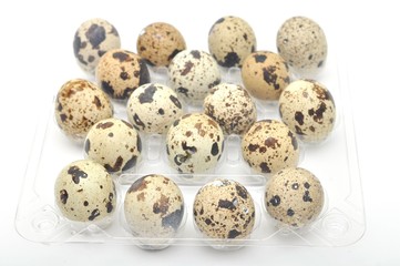 Obraz premium quail eggs