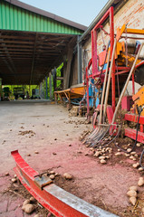 Bauernhof, Landwirtschaft, Kartoffelernte