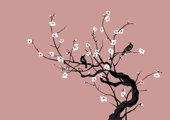 sakura and birds © keekeekee