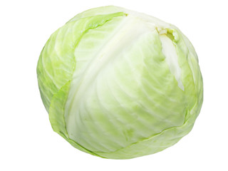 Fototapeta premium cabbage vegetable
