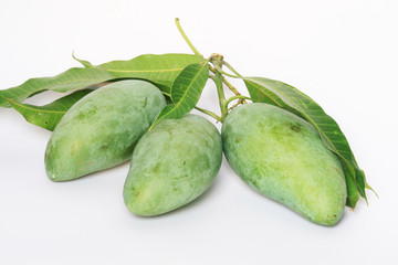 Green mangoes on white, Thailand.