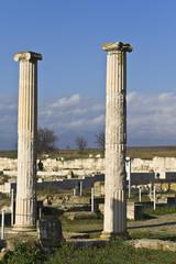 Fototapeta premium Ancient Pella at Macedonia, Greece