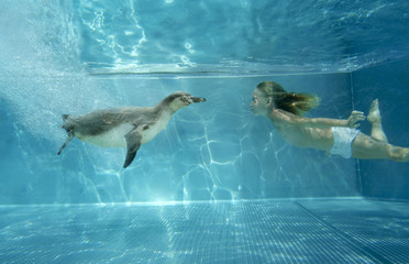 Begegnung mit dem Pinguin
