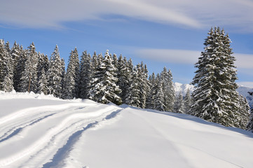 Fototapeta na wymiar Majestic alpine scenery. Braunwald, Switzerland