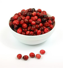 Bowl of cranberries