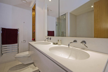luxury double bath room