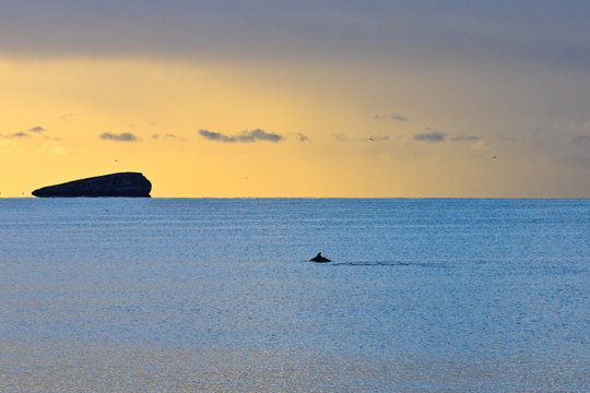 golden sky over blue sea