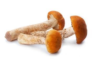 Three Mushrooms