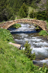 Fototapeta na wymiar Stary kamienny most. Vall de Ransol (Andorra)
