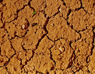 Dry ground