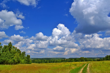 Fototapeta premium Summer landscape