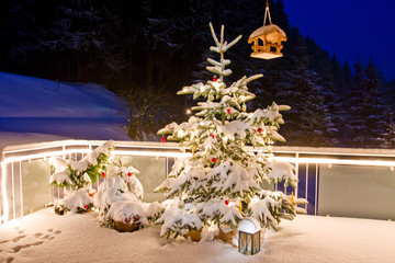Weihnachtsbaum auf der Terrasse