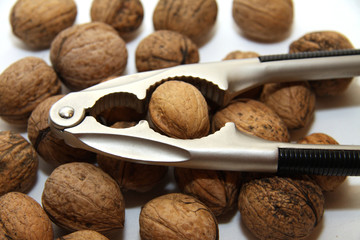 Nut Cracker