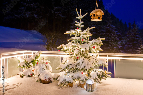 "Weihnachtsbaum auf der Terrasse" Stockfotos und lizenzfreie Bilder auf