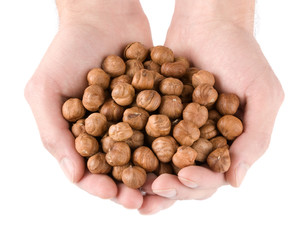 human hands holding heap of hazelnut