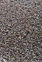 some organic poppy seed in a glass