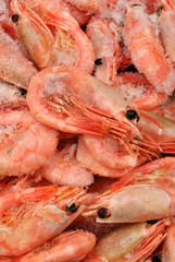 some fresh organic prawns before preparation