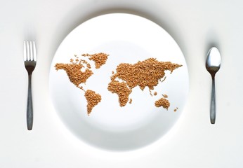 World Map of Grain on Plate