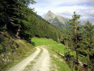 Waldweg