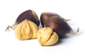 Chestnut isolated on white