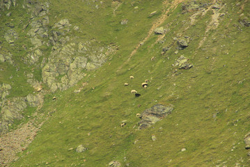 Furglerwanderung - hiking to mountain Furgler 41