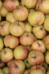 Pears