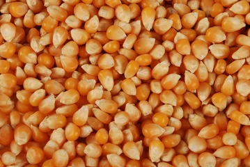 Deurstickers corn grains © Mustafa Sen