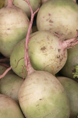 radish