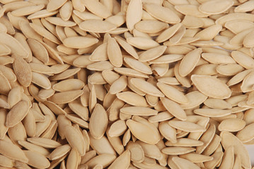 pumpkin seeds