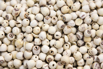 Lotus seeds in the shop