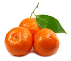 Mandarin on white background