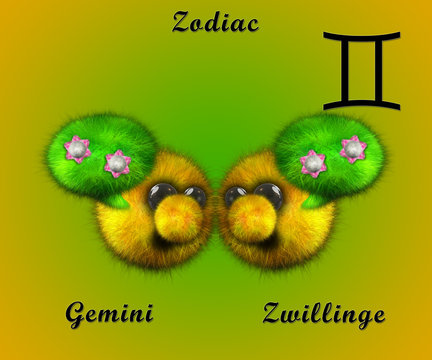 Sternzeichen Zwillinge