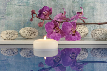 Orchidee, Kerze, Wasser