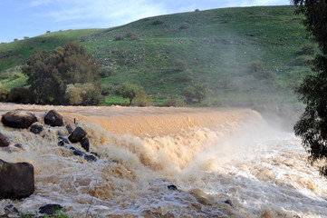 Jordan River © Odelia Cohen