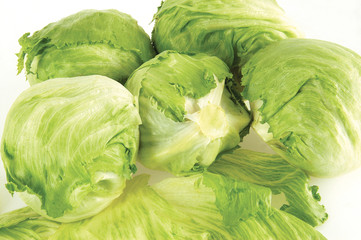 Fototapeta premium lettuce